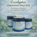 Little Dreams™ Eucalyptus Magnesium Sleep Rub – Adult Strength (2 oz)